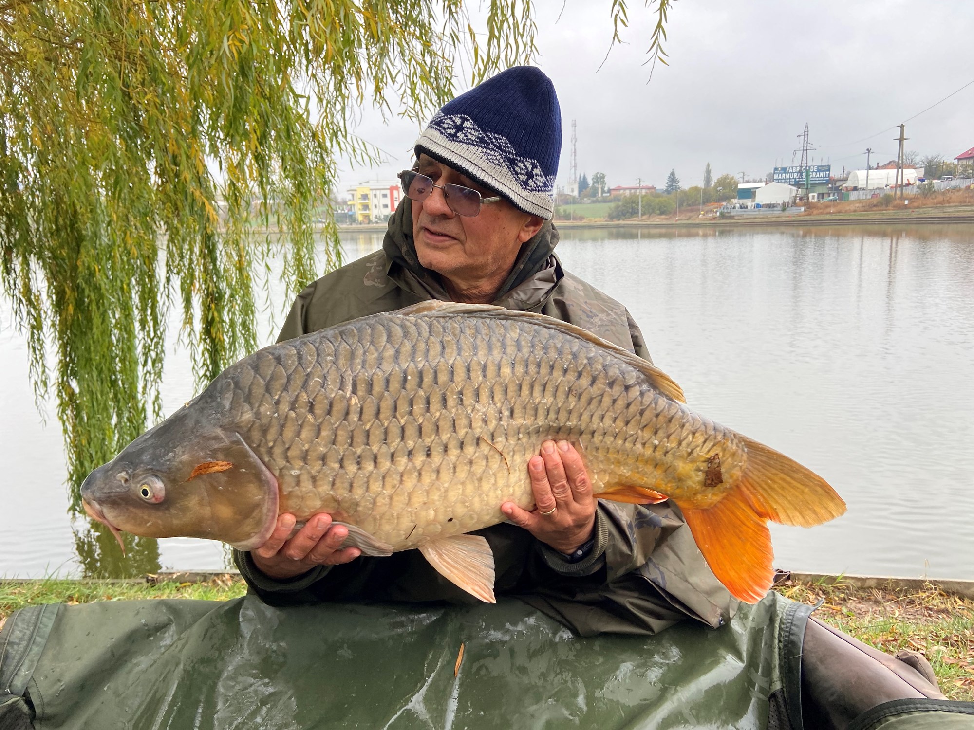 Dupa ani si ani ma voi intoarce T2/2023  - IMG4851.jpg